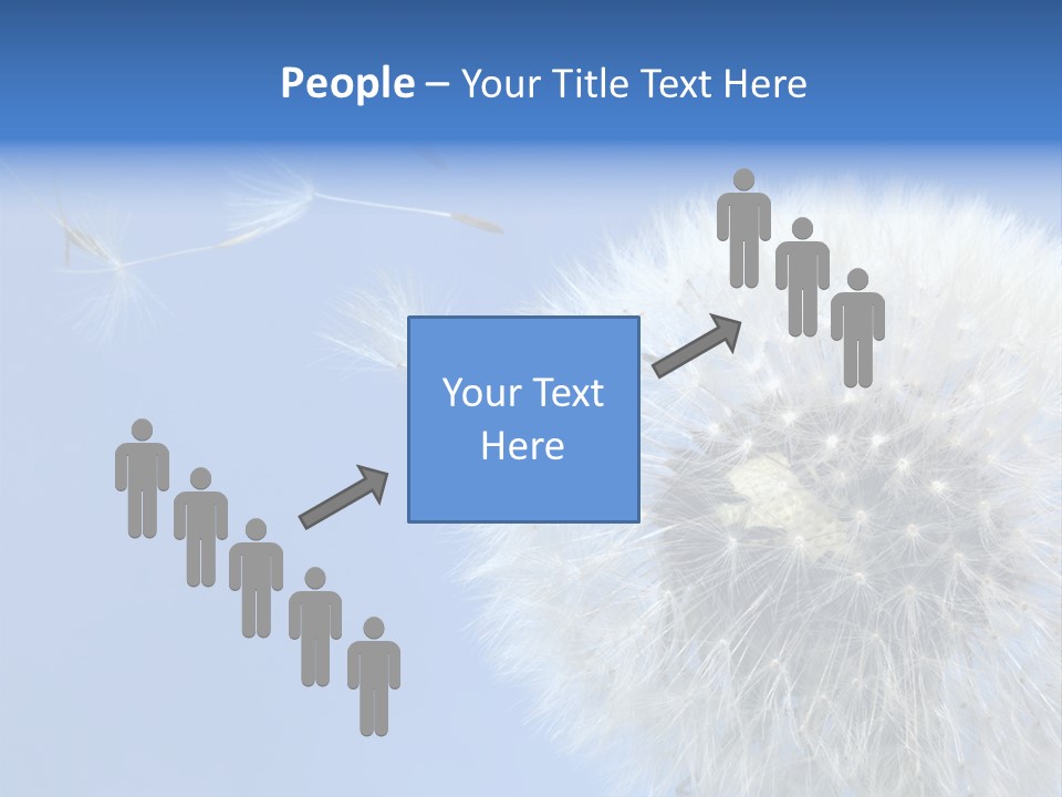 Spring Seed Easy PowerPoint Template