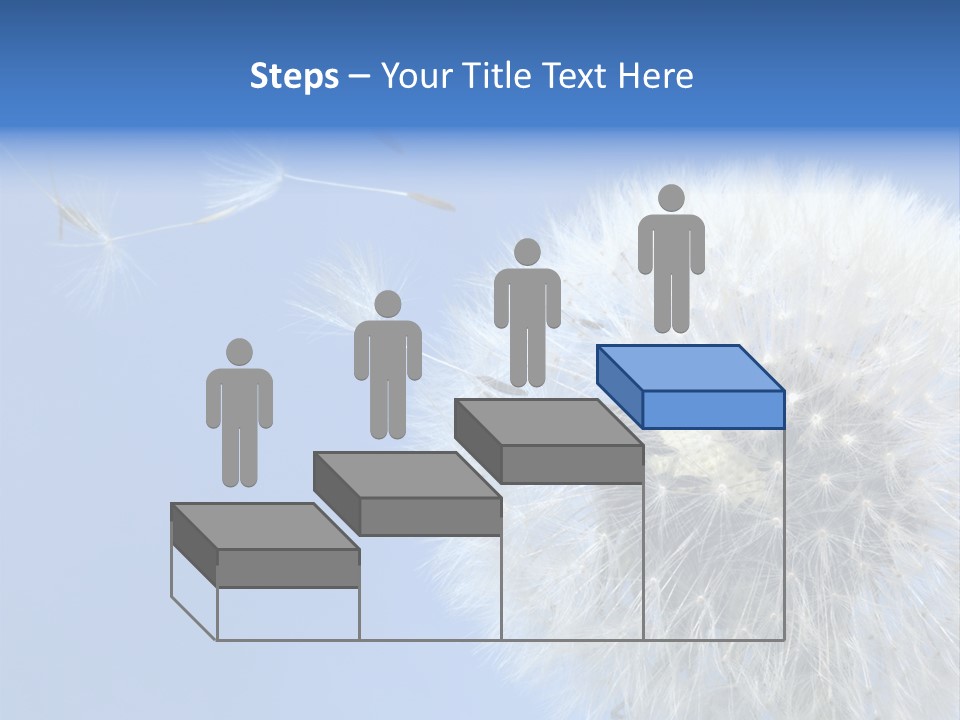 Spring Seed Easy PowerPoint Template