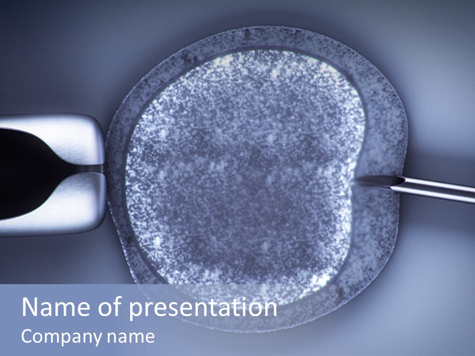 Genome Birth Macro PowerPoint Template