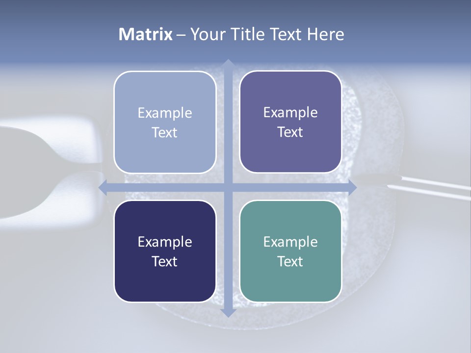 Genome Birth Macro PowerPoint Template