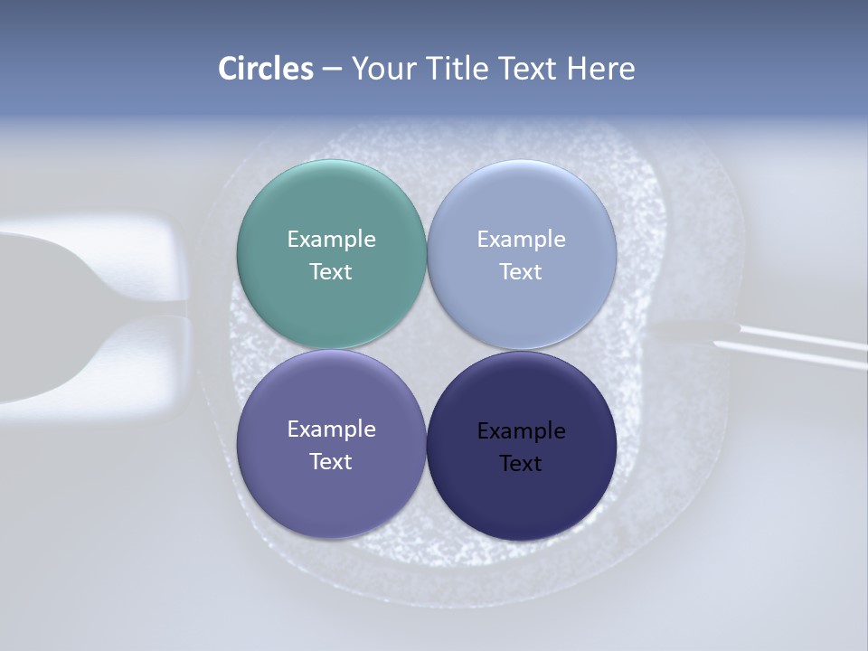 Genome Birth Macro PowerPoint Template