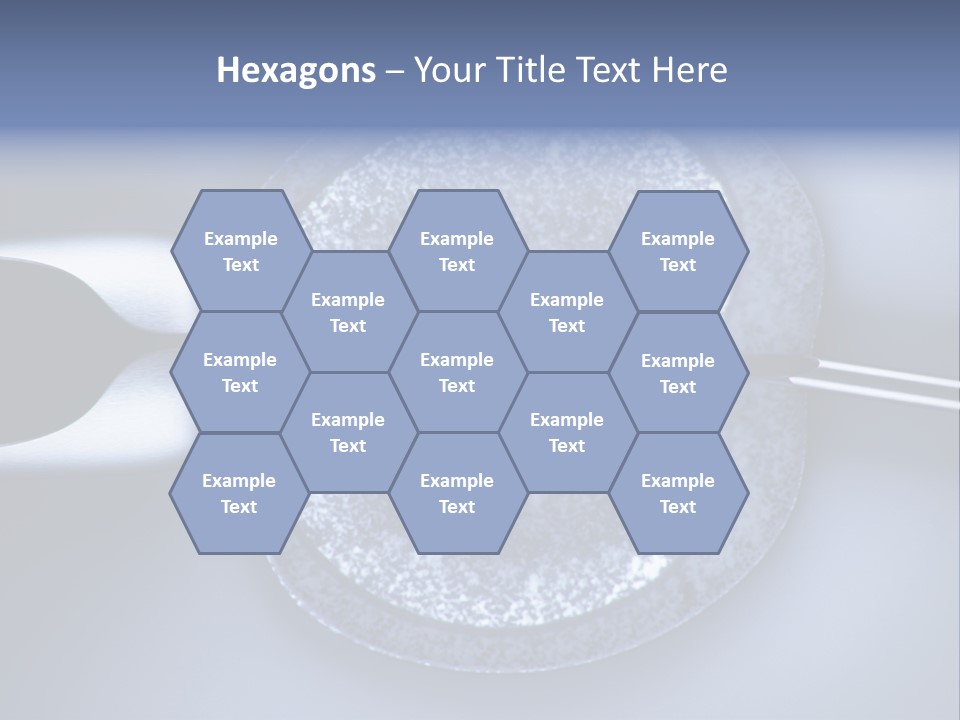 Genome Birth Macro PowerPoint Template