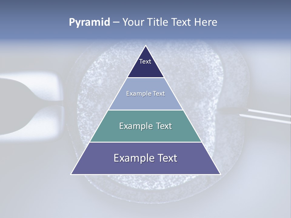 Genome Birth Macro PowerPoint Template