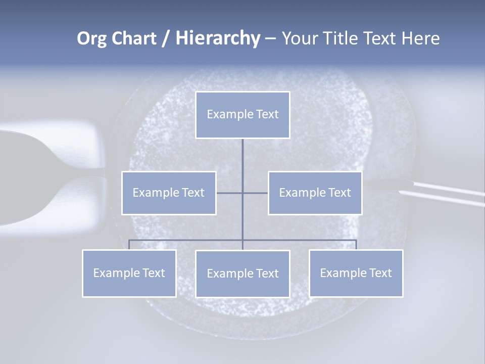 Genome Birth Macro PowerPoint Template
