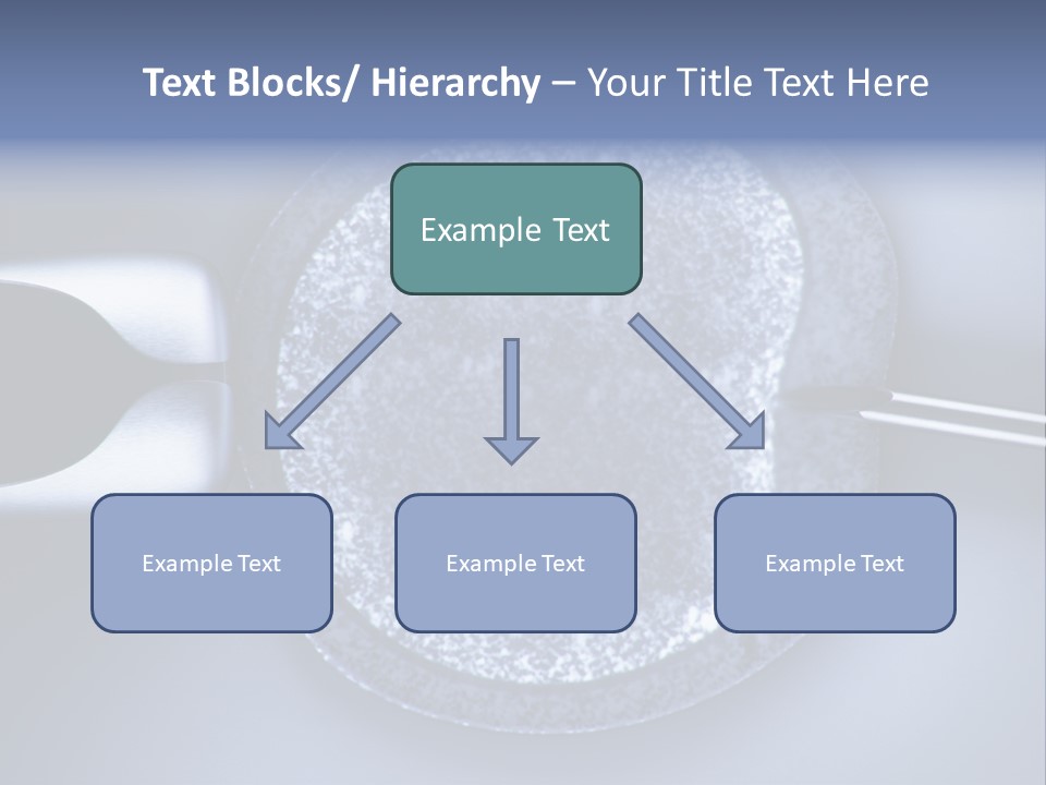 Genome Birth Macro PowerPoint Template