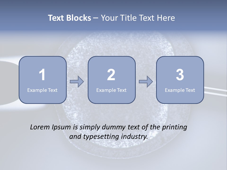 Genome Birth Macro PowerPoint Template