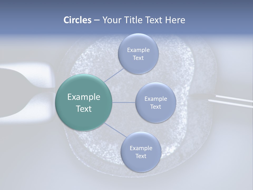 Genome Birth Macro PowerPoint Template