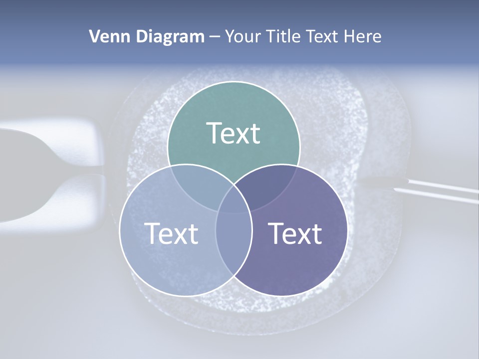 Genome Birth Macro PowerPoint Template