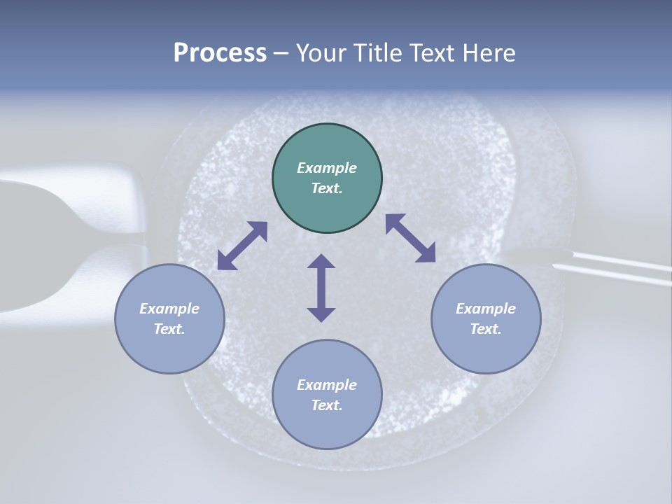 Genome Birth Macro PowerPoint Template