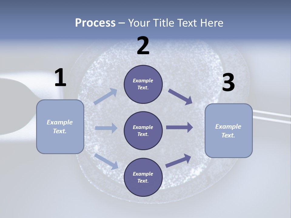 Genome Birth Macro PowerPoint Template