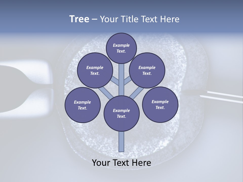 Genome Birth Macro PowerPoint Template
