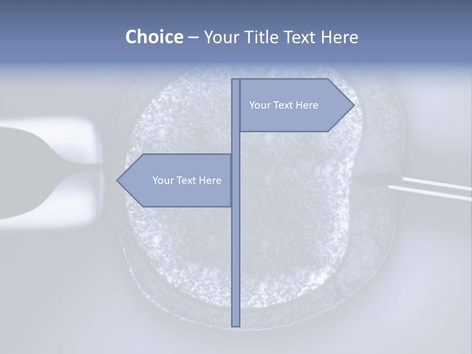 Genome Birth Macro PowerPoint Template