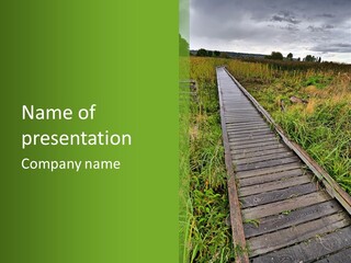 Autumn Bush Green PowerPoint Template