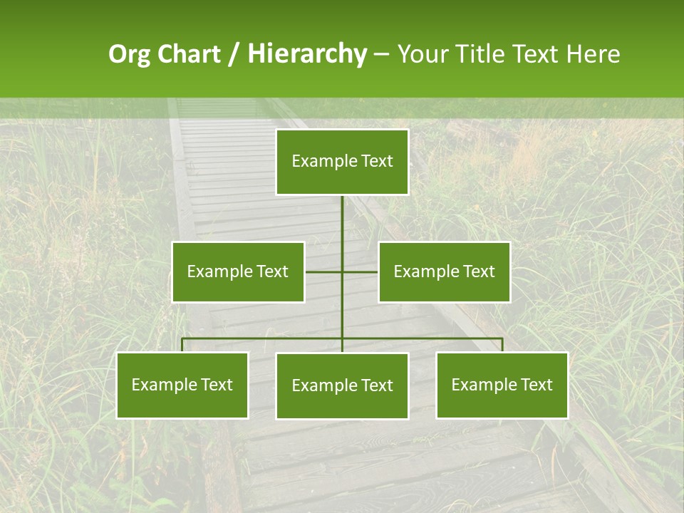 Autumn Bush Green PowerPoint Template