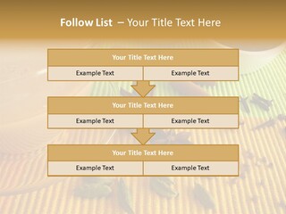 Afternoon Black Pinks PowerPoint Template
