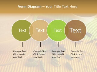 Afternoon Black Pinks PowerPoint Template