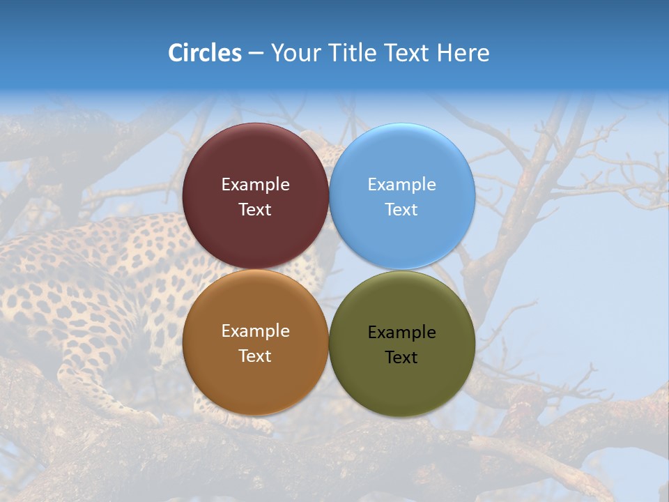 Safari Action Animal PowerPoint Template