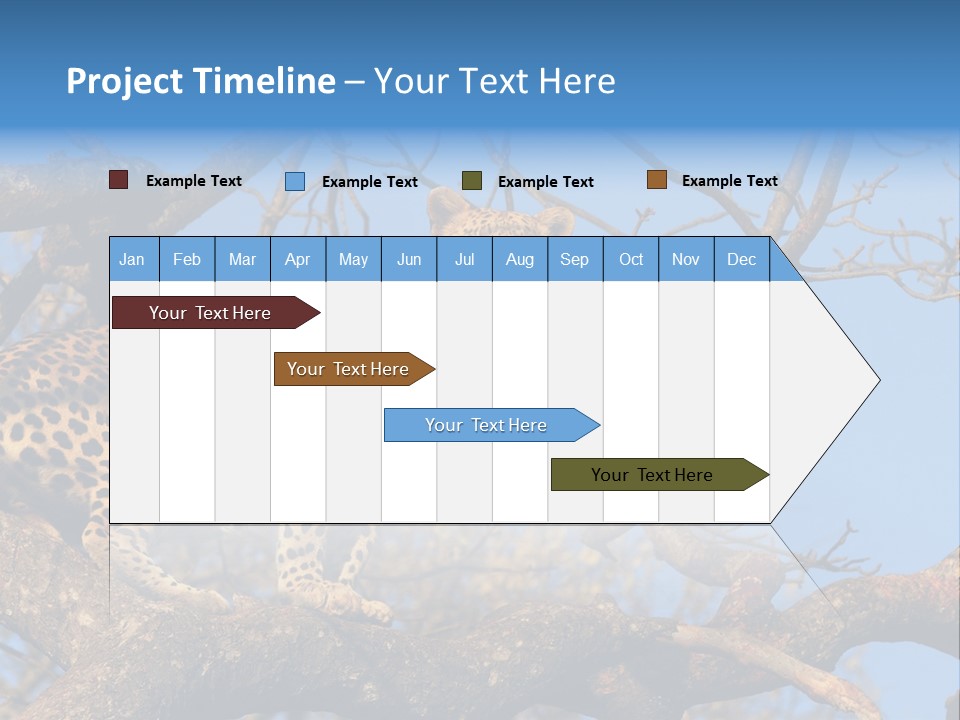 Safari Action Animal PowerPoint Template
