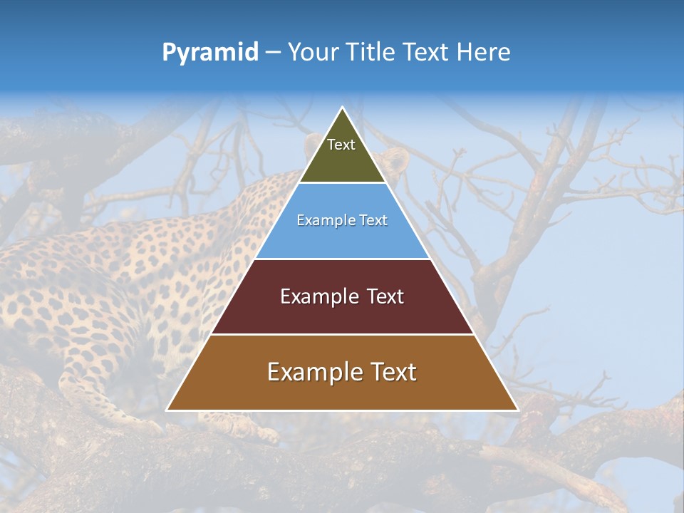 Safari Action Animal PowerPoint Template