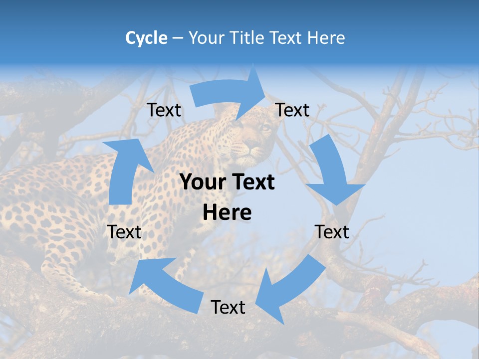 Safari Action Animal PowerPoint Template