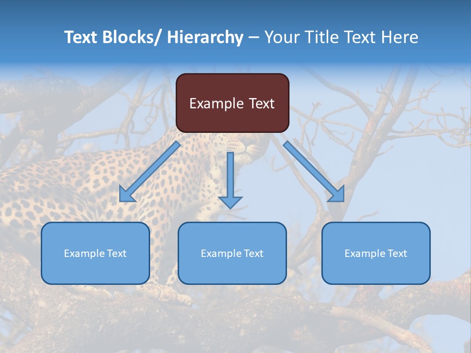 Safari Action Animal PowerPoint Template