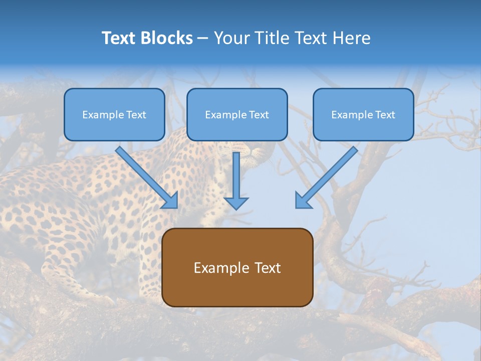 Safari Action Animal PowerPoint Template