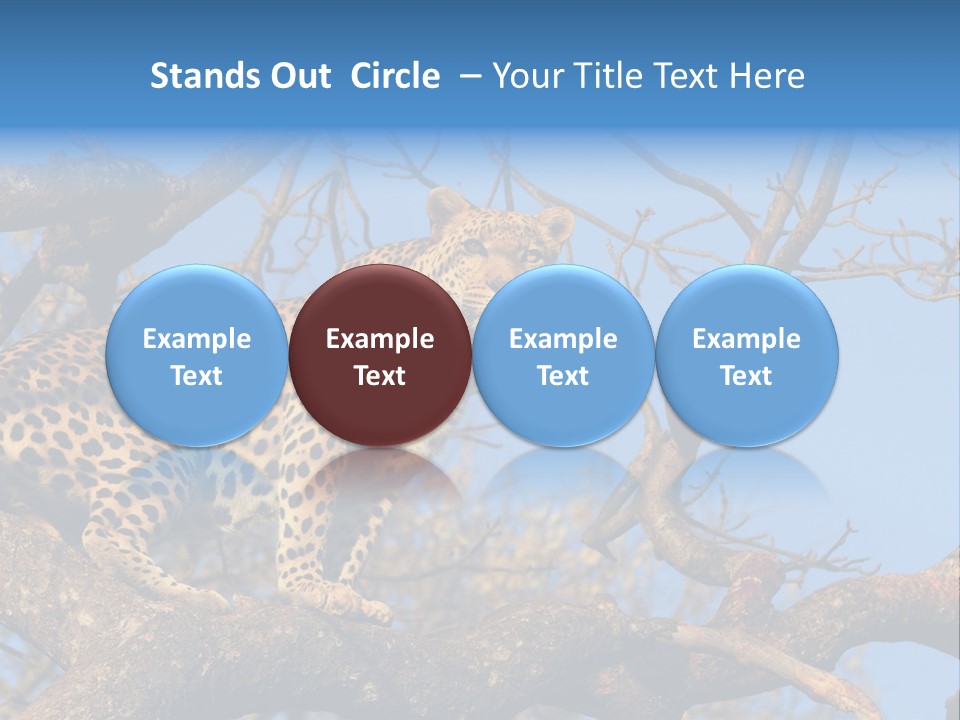 Safari Action Animal PowerPoint Template