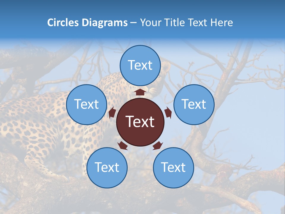 Safari Action Animal PowerPoint Template