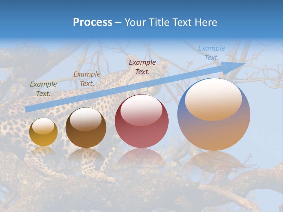 Safari Action Animal PowerPoint Template