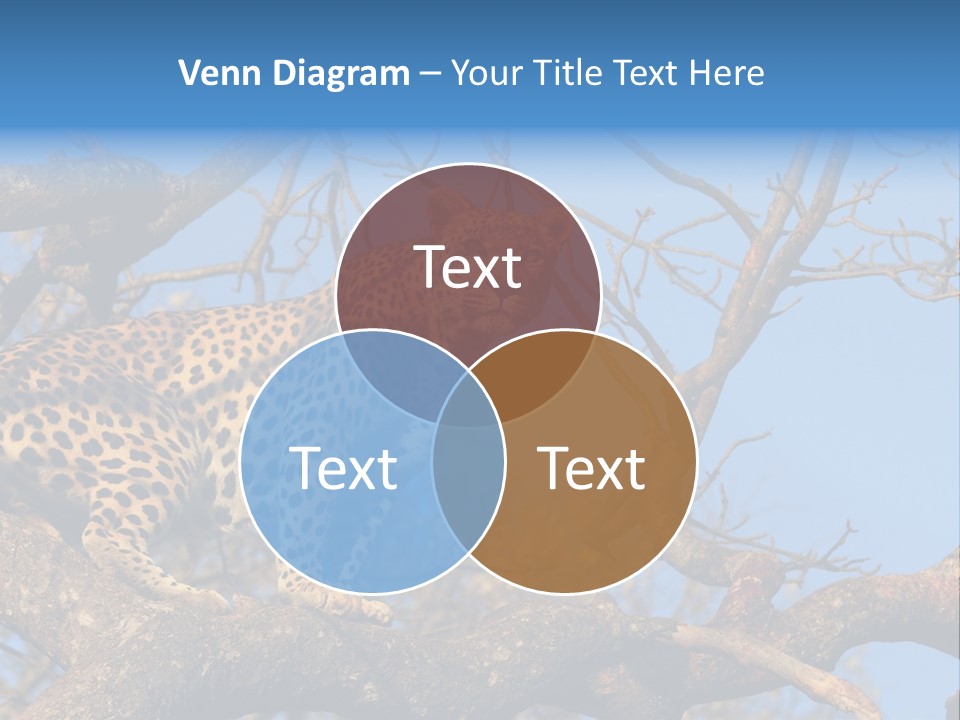 Safari Action Animal PowerPoint Template