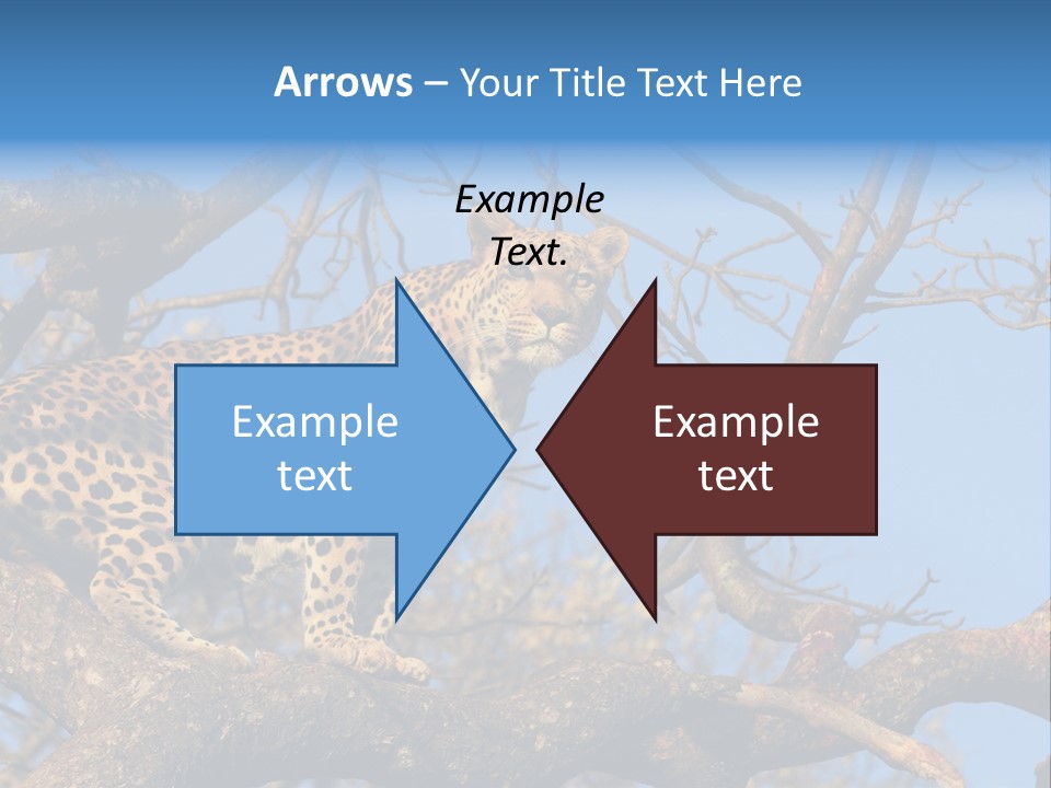 Safari Action Animal PowerPoint Template