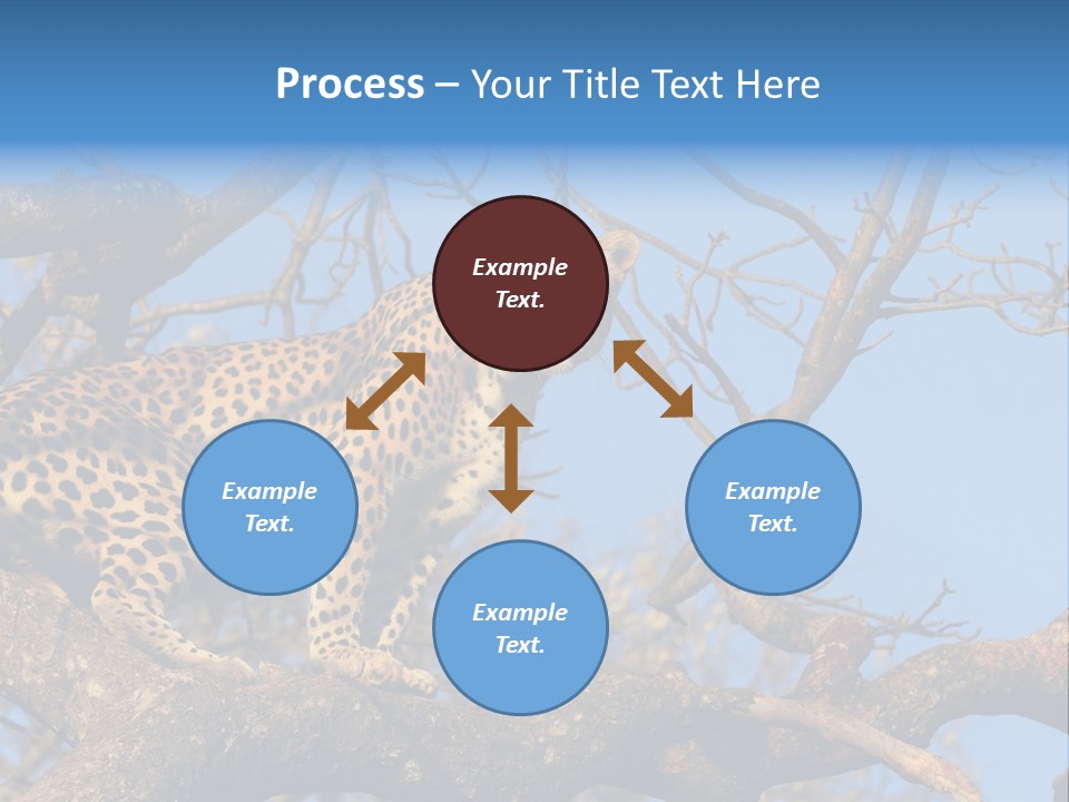 Safari Action Animal PowerPoint Template