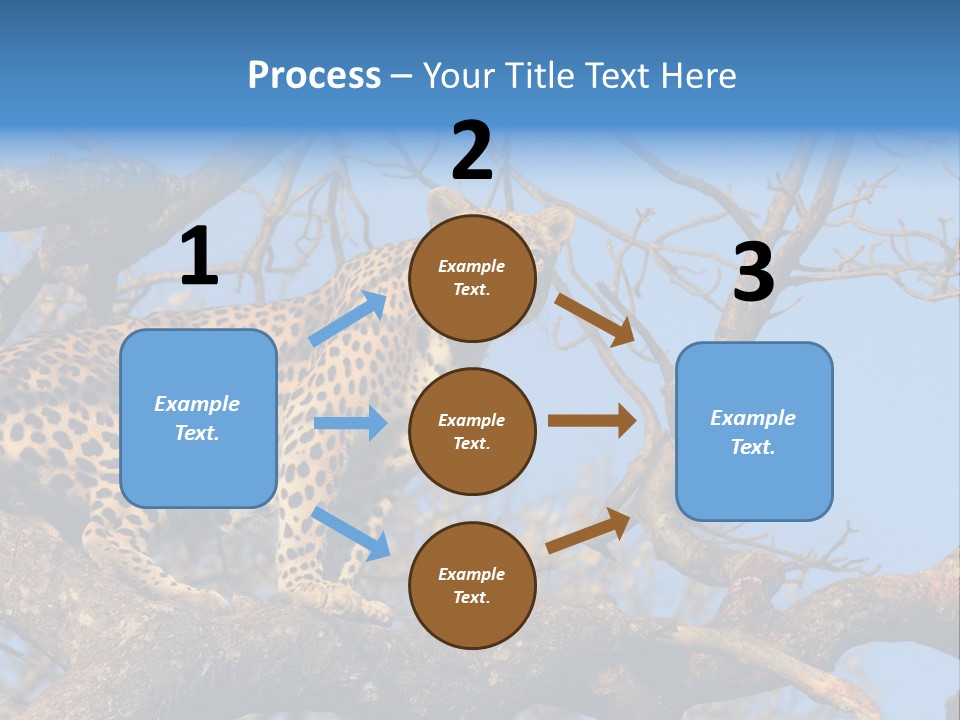 Safari Action Animal PowerPoint Template