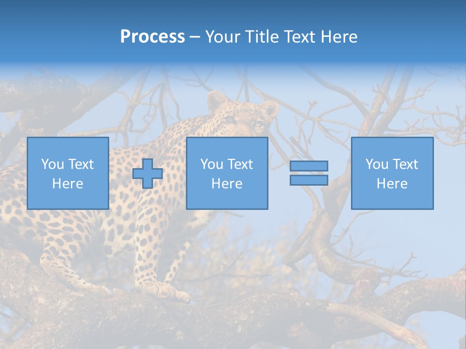 Safari Action Animal PowerPoint Template
