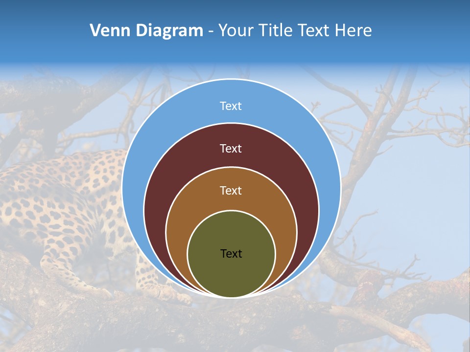 Safari Action Animal PowerPoint Template