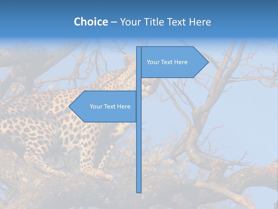 Safari Action Animal PowerPoint Template