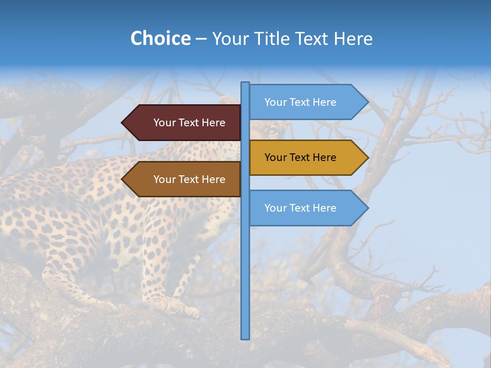 Safari Action Animal PowerPoint Template