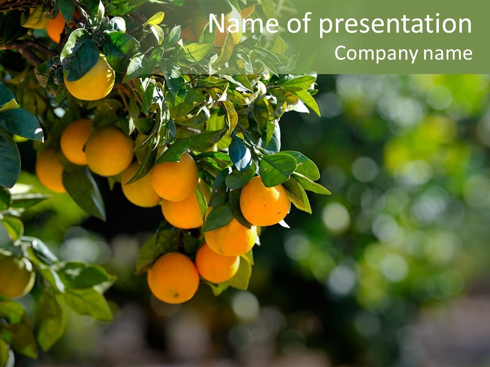 Orange Sweet Leaves PowerPoint Template