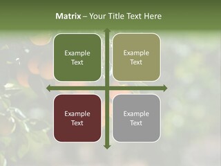 Orange Sweet Leaves PowerPoint Template