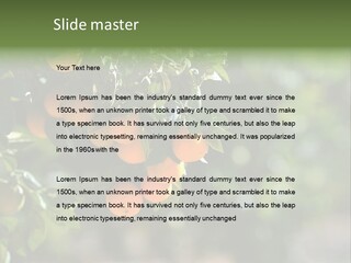 Orange Sweet Leaves PowerPoint Template