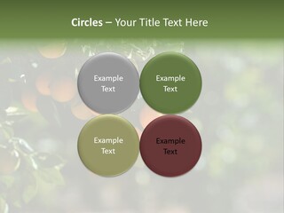 Orange Sweet Leaves PowerPoint Template