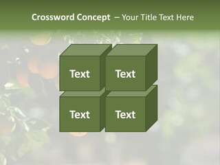 Orange Sweet Leaves PowerPoint Template