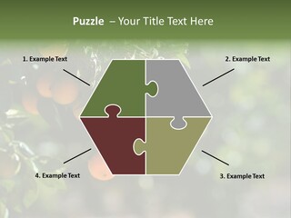 Orange Sweet Leaves PowerPoint Template