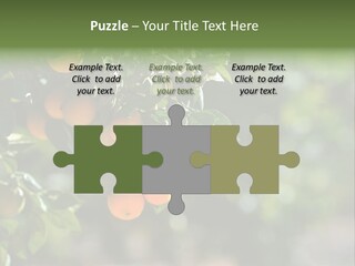 Orange Sweet Leaves PowerPoint Template