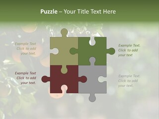 Orange Sweet Leaves PowerPoint Template