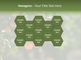 Orange Sweet Leaves PowerPoint Template