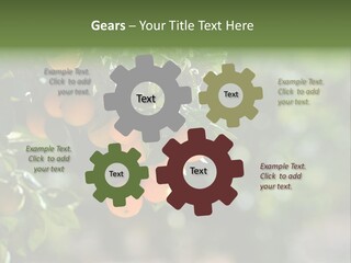 Orange Sweet Leaves PowerPoint Template