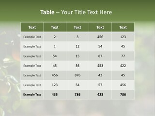 Orange Sweet Leaves PowerPoint Template