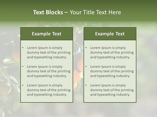 Orange Sweet Leaves PowerPoint Template