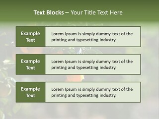 Orange Sweet Leaves PowerPoint Template